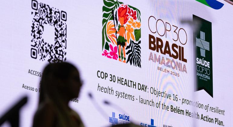 cop30 health day